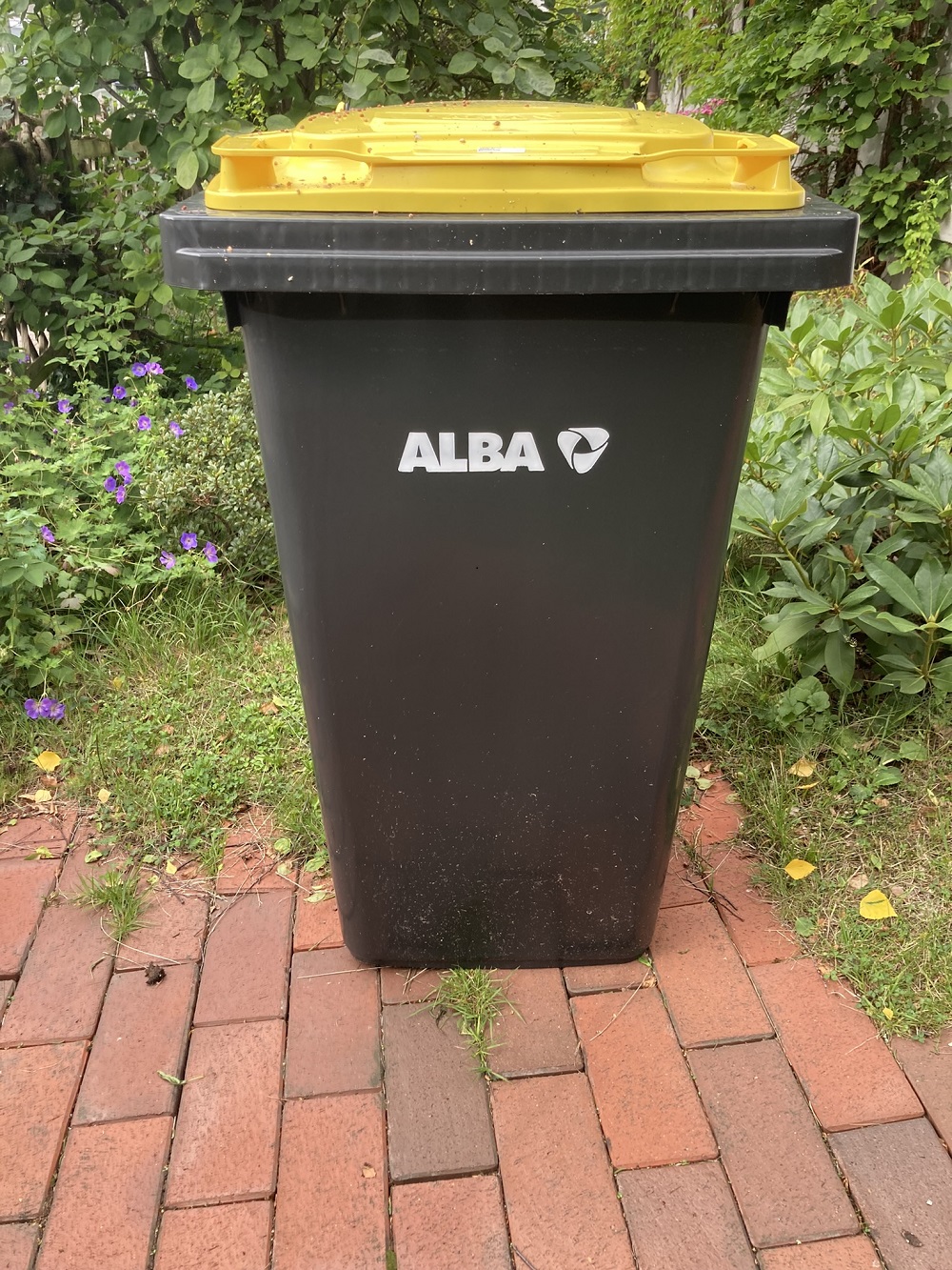 gelbe-tonnen-rger-mit-alba-siedlerverein-eichkamp