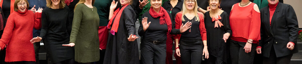 20241214_210029_DSC_0832d 20241214_210029_DSC_0832d